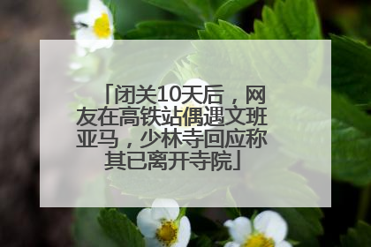闭关10天后，网友在高铁站偶遇文班亚马，少林寺回应称其已离开寺院