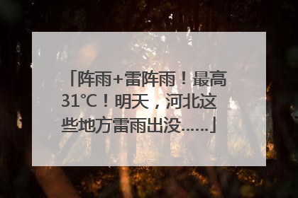 阵雨+雷阵雨！最高31℃！明天，河北这些地方雷雨出没……