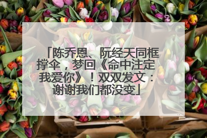 陈乔恩、阮经天同框撑伞，梦回《命中注定我爱你》！双双发文：谢谢我们都没变