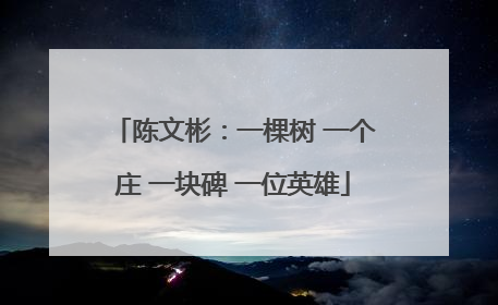 陈文彬：一棵树 一个庄 一块碑 一位英雄