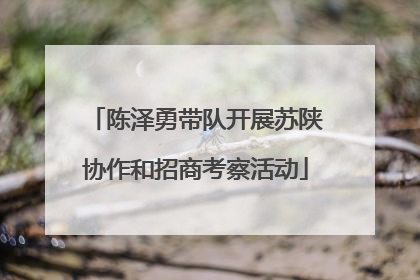 陈泽勇带队开展苏陕协作和招商考察活动