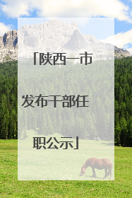 陕西一市发布干部任职公示