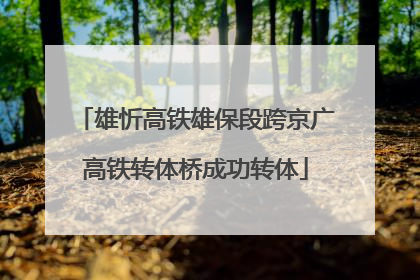 雄忻高铁雄保段跨京广高铁转体桥成功转体