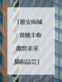 雅安雨城：黄桃丰收 邀您来采摘和品尝