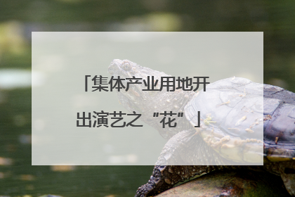 集体产业用地开出演艺之“花”