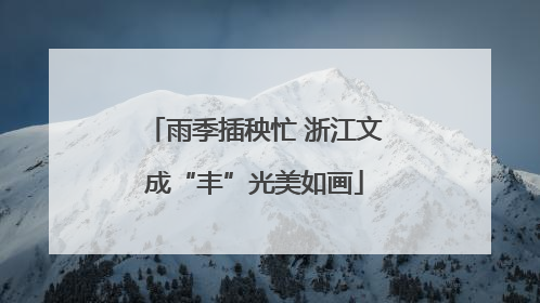 雨季插秧忙 浙江文成“丰”光美如画