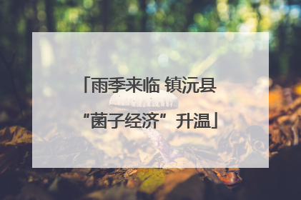 雨季来临 镇沅县“菌子经济”升温