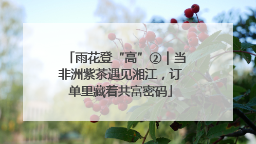 雨花登“高”②｜当非洲紫茶遇见湘江，订单里藏着共富密码