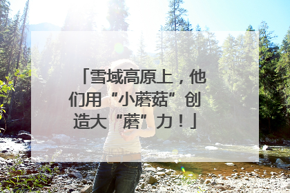 雪域高原上，他们用“小蘑菇”创造大“蘑”力！