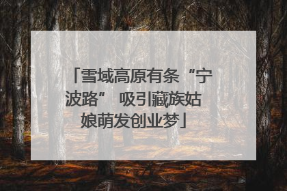 雪域高原有条“宁波路” 吸引藏族姑娘萌发创业梦
