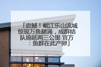 震撼！岷江乐山流域惊现万鱼翻涌，成群结队绵延两三公里 官方：鱼群在此产卵