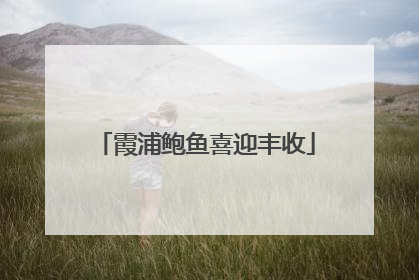霞浦鲍鱼喜迎丰收
