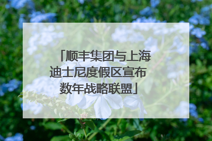 顺丰集团与上海迪士尼度假区宣布数年战略联盟