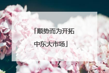 顺势而为开拓中东大市场