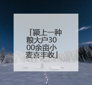 颍上一种粮大户3000余亩小麦喜丰收