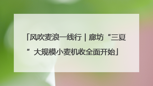 风吹麦浪一线行｜廊坊“三夏”大规模小麦机收全面开始