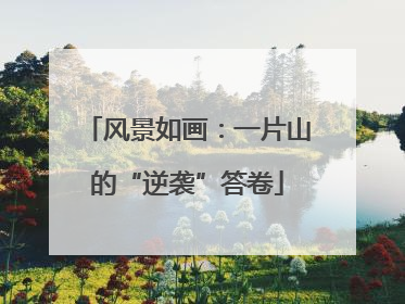风景如画：一片山的“逆袭”答卷