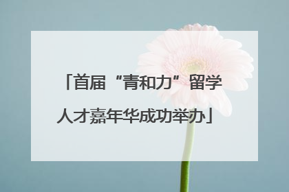 首届“青和力”留学人才嘉年华成功举办