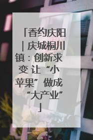 香约庆阳｜庆城桐川镇：创新求变 让“小苹果”做成“大产业”
