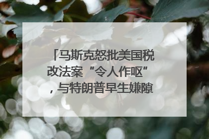 马斯克怒批美国税改法案“令人作呕”，与特朗普早生嫌隙？｜国际识局