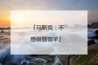 马斯克：不想做替罪羊