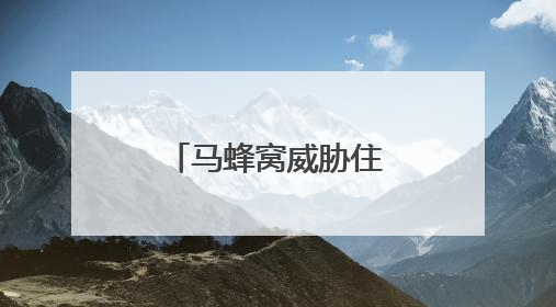 马蜂窝威胁住户安全 宣城消防成功摘除