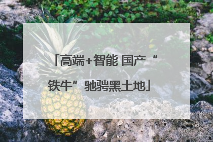高端+智能 国产“铁牛”驰骋黑土地
