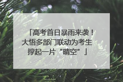 高考首日暴雨来袭！大悟多部门联动为考生撑起一片“晴空”