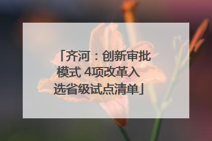 齐河：创新审批模式 4项改革入选省级试点清单