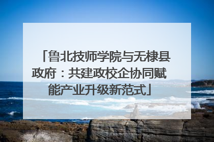 鲁北技师学院与无棣县政府：共建政校企协同赋能产业升级新范式