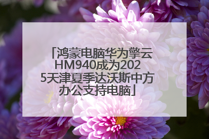 鸿蒙电脑华为擎云 HM940成为2025天津夏季达沃斯中方办公支持电脑