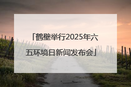 鹤壁举行2025年六五环境日新闻发布会