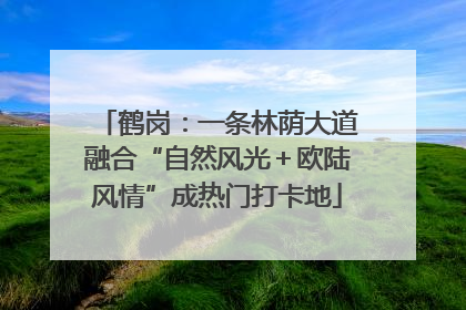鹤岗：一条林荫大道融合“自然风光＋欧陆风情”成热门打卡地