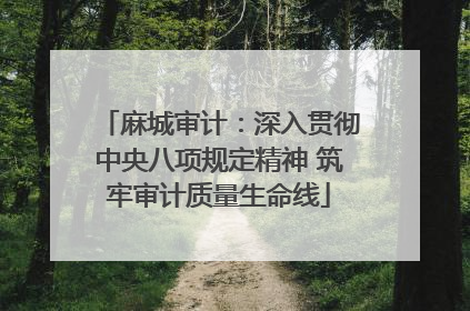 麻城审计：深入贯彻中央八项规定精神 筑牢审计质量生命线