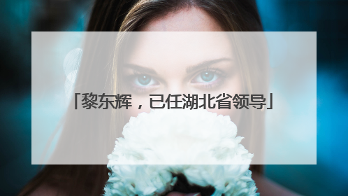 黎东辉，已任湖北省领导