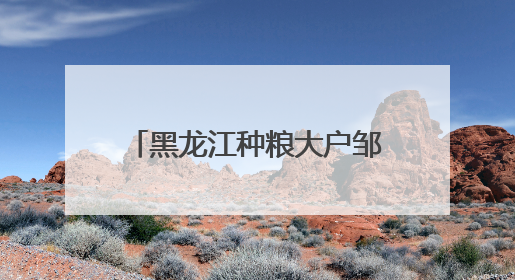 黑龙江种粮大户邹德海：保护“耕地中的大熊猫”黑土地，让增产可持续