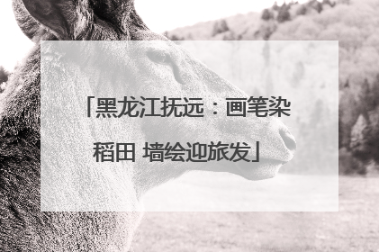 黑龙江抚远：画笔染稻田 墙绘迎旅发
