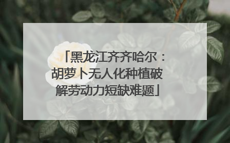 黑龙江齐齐哈尔：胡萝卜无人化种植破解劳动力短缺难题