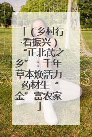 (乡村行·看振兴)“正北芪之乡”:千年草本焕活力 药材生“金”富农家