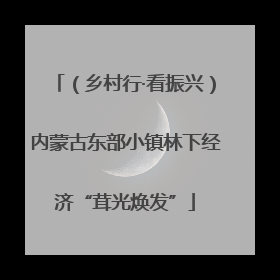 （乡村行·看振兴）内蒙古东部小镇林下经济“茸光焕发”