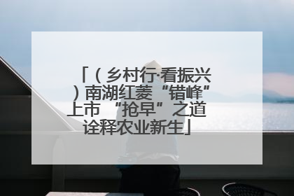 （乡村行·看振兴）南湖红菱“错峰”上市 “抢早”之道诠释农业新生