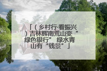 （乡村行·看振兴）吉林辉南荒山变“绿色银行” 绿水青山有“钱景”