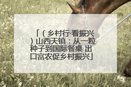 （乡村行·看振兴）山西天镇：从一粒种子到国际餐桌 出口富农促乡村振兴