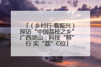 （乡村行·看振兴）探访“中国荔枝之乡”广西灵山：科技“鲜”行 实“荔”C位