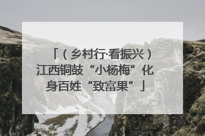 （乡村行·看振兴）江西铜鼓“小杨梅”化身百姓“致富果”