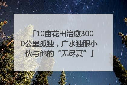 10亩花田治愈3000公里孤独，广水独眼小伙与他的“无尽夏”