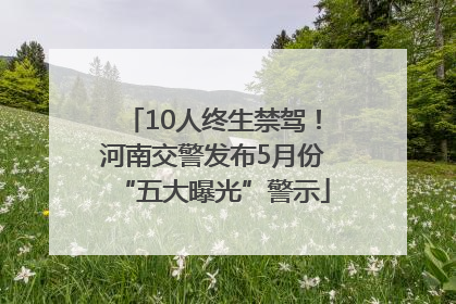 10人终生禁驾！河南交警发布5月份“五大曝光”警示