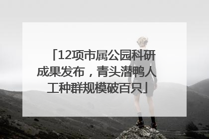 12项市属公园科研成果发布，青头潜鸭人工种群规模破百只