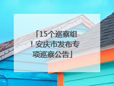 15个巡察组！安庆市发布专项巡察公告