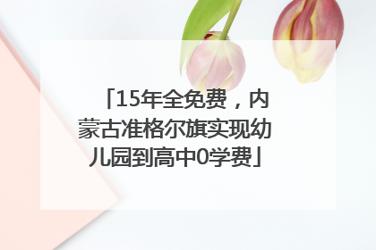 15年全免费，内蒙古准格尔旗实现幼儿园到高中0学费